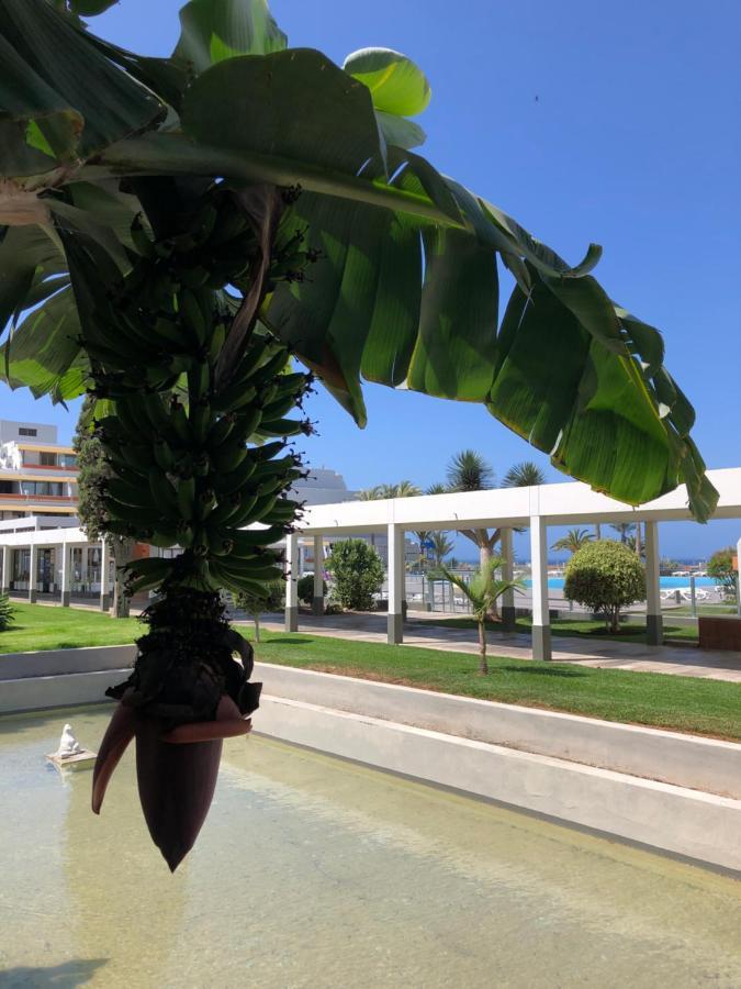 Good Vibes Διαμέρισμα Costa Del Silencio Εξωτερικό φωτογραφία
